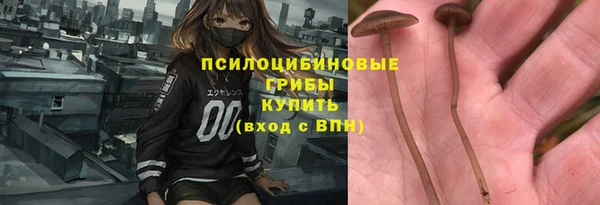 экстази Богородск